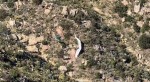 2021_04-18b_b_photo_of_paraglider_from_helicopter.jpeg (102.47 KiB) Viewed 13806 times 2021_04-18b_b_photo_of_paraglider_from_helicopter.jpeg
